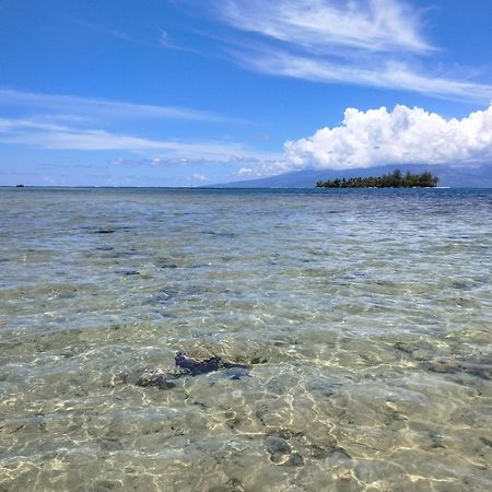Bungalow Vue Lagon 180 Degre, La Maison Bleue Moorea Ngoại thất bức ảnh