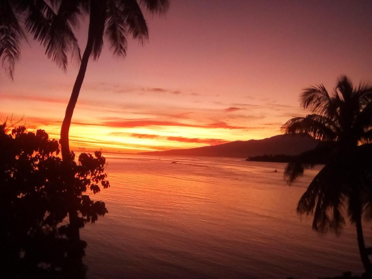 Bungalow Vue Lagon 180 Degre, La Maison Bleue Moorea Ngoại thất bức ảnh