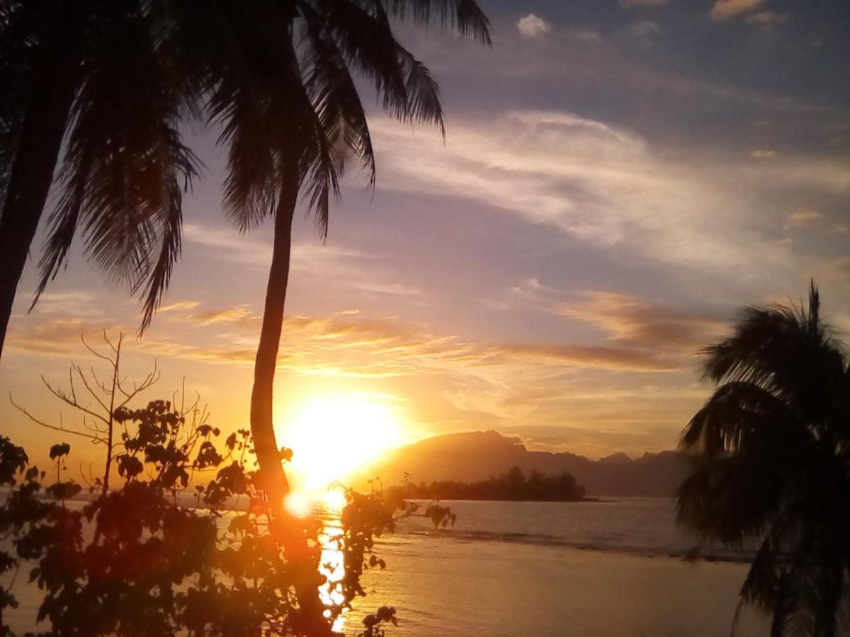 Bungalow Vue Lagon 180 Degre, La Maison Bleue Moorea Ngoại thất bức ảnh