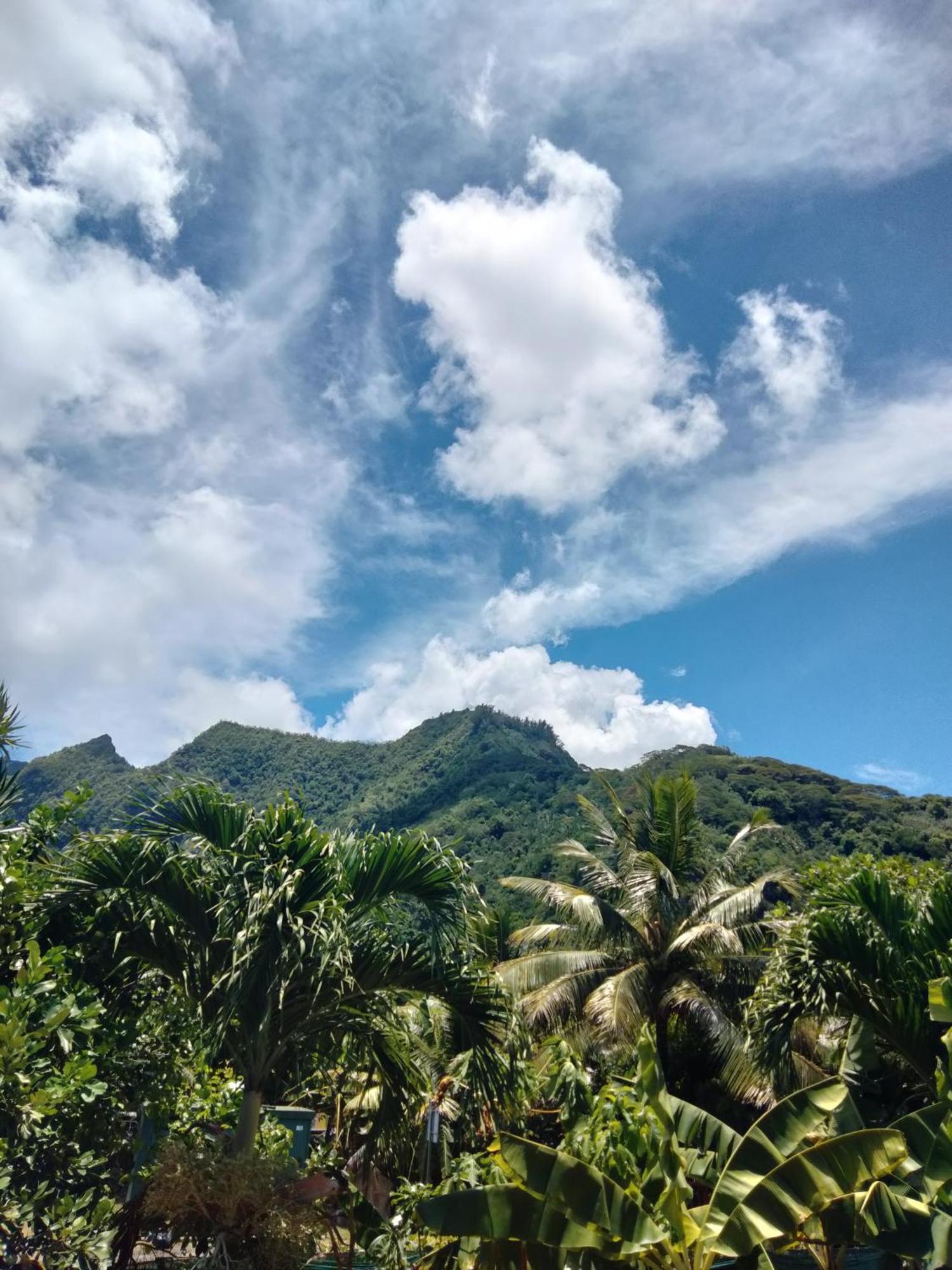 Bungalow Vue Lagon 180 Degre, La Maison Bleue Moorea Phòng bức ảnh