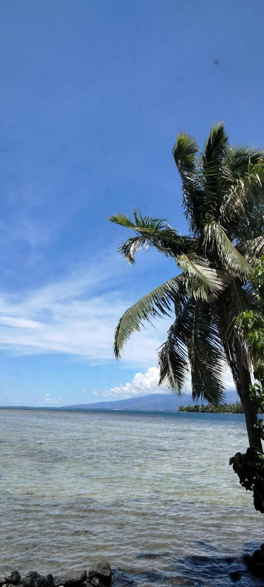 Bungalow Vue Lagon 180 Degre, La Maison Bleue Moorea Ngoại thất bức ảnh