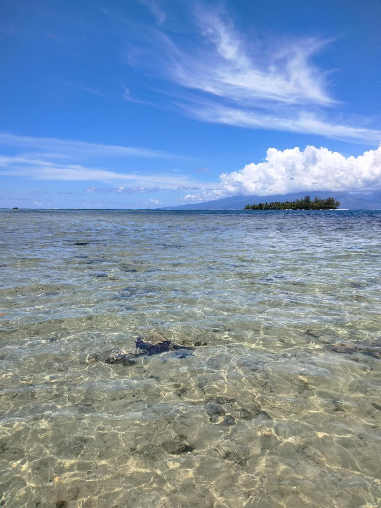 Bungalow Vue Lagon 180 Degre, La Maison Bleue Moorea Ngoại thất bức ảnh
