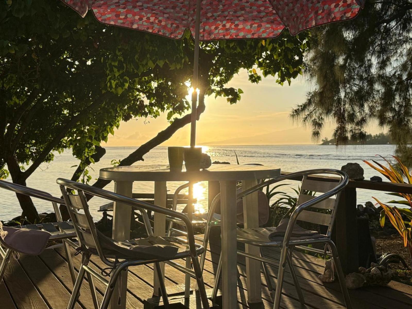 Bungalow Vue Lagon 180 Degre, La Maison Bleue Moorea Ngoại thất bức ảnh